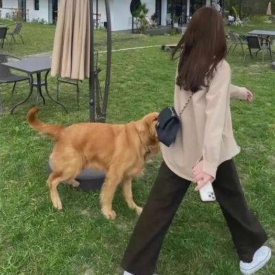 美式